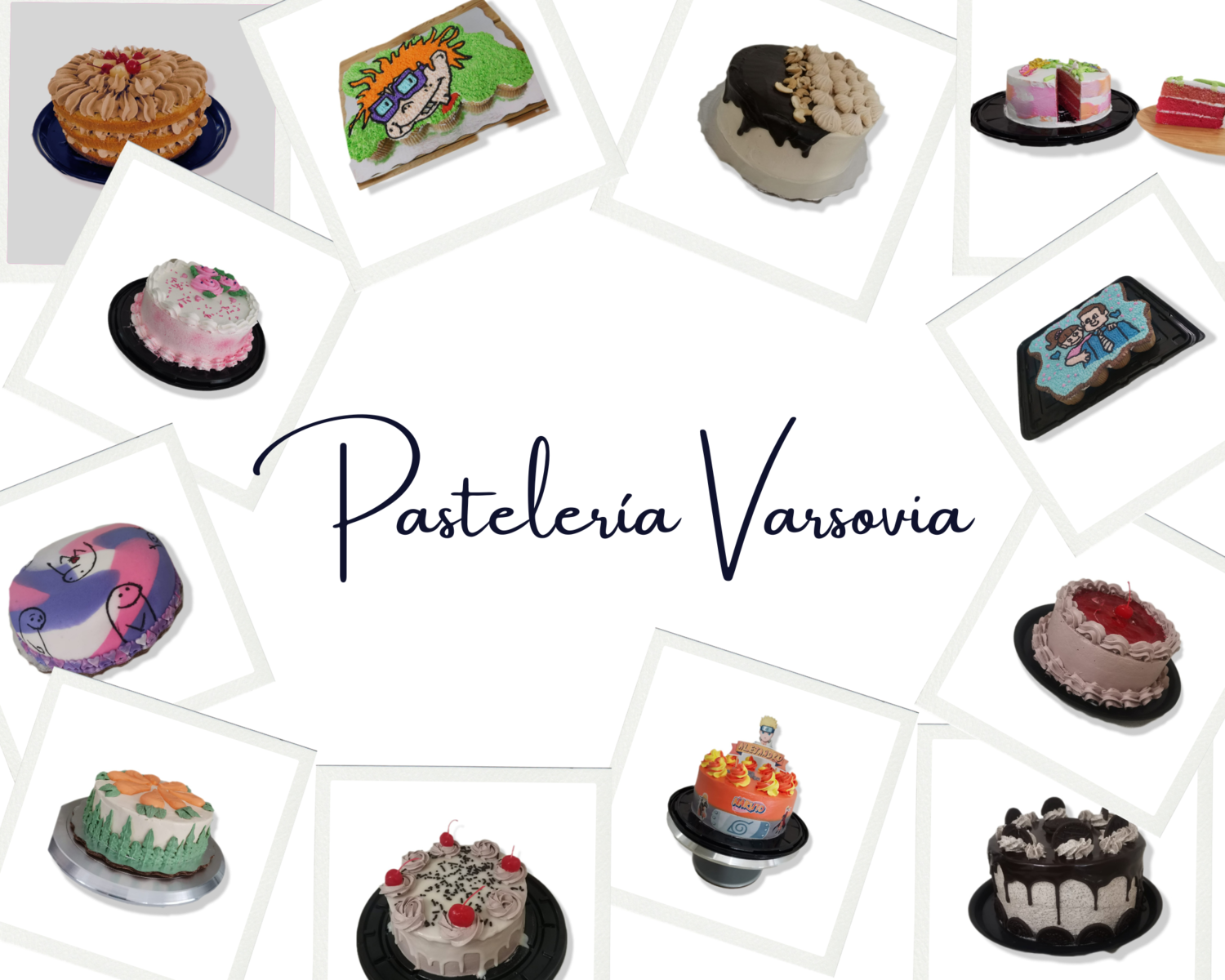REPOSTERIA&nbsp;